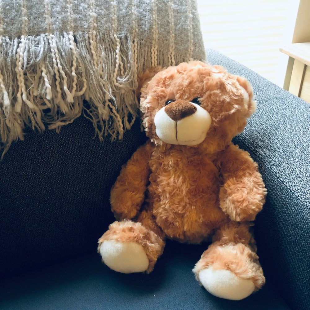 Orange Teddy Bear *SO SOFT*